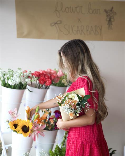sugar baby araguari|SugarBaby.com .